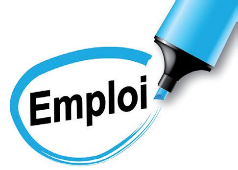 Tchad : avis de recrutement d'un coordinateur de projet Tchad : avis de recrutement d'un coordinateur de projet