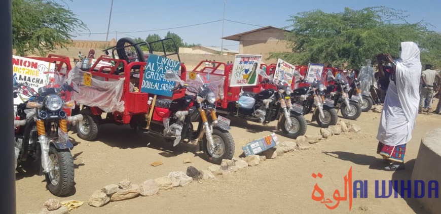 تشاد: تدريب النساء وتجهيزهن في بيلتين لتمكينهن تشاد: تدريب النساء وتجهيزهن في بيلتين لتمكينهن