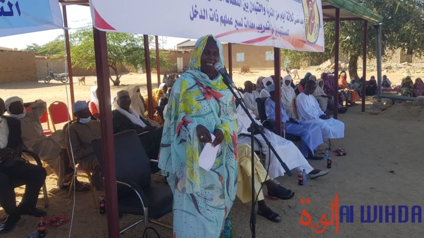 تشاد: تدريب النساء وتجهيزهن في بيلتين لتمكينهن تشاد: تدريب النساء وتجهيزهن في بيلتين لتمكينهن