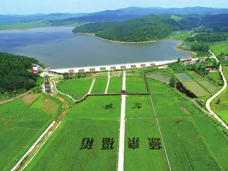 Photo shows a picturesque reservoir on the Liaohe River and green paddy fields near the reservoir. (Photo/Jilin Daily)