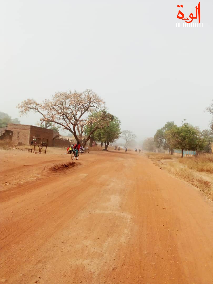 La ville de Pala, chef-lieu du Mayo Kebbi Ouest. Illustration © Foka Mapagne/Alwihda Info