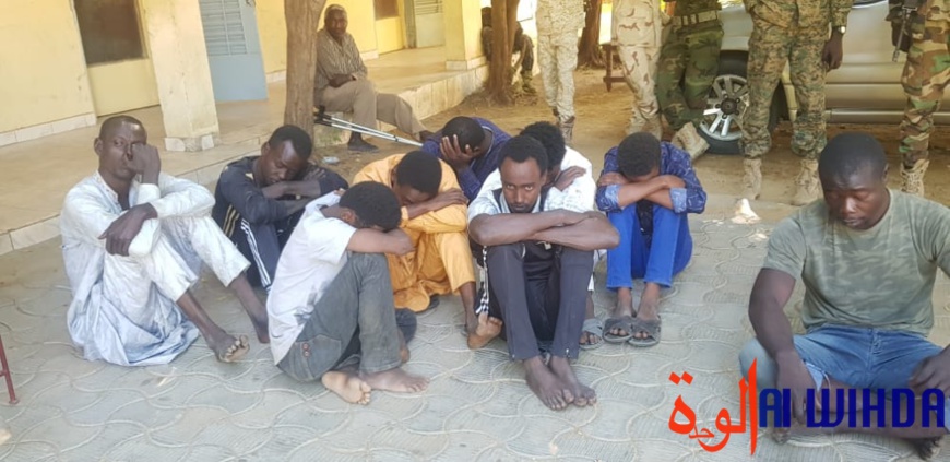 Tchad : 18 présumés malfaiteurs arrêtés par la gendarmerie Tchad : 18 présumés malfaiteurs arrêtés par la gendarmerie