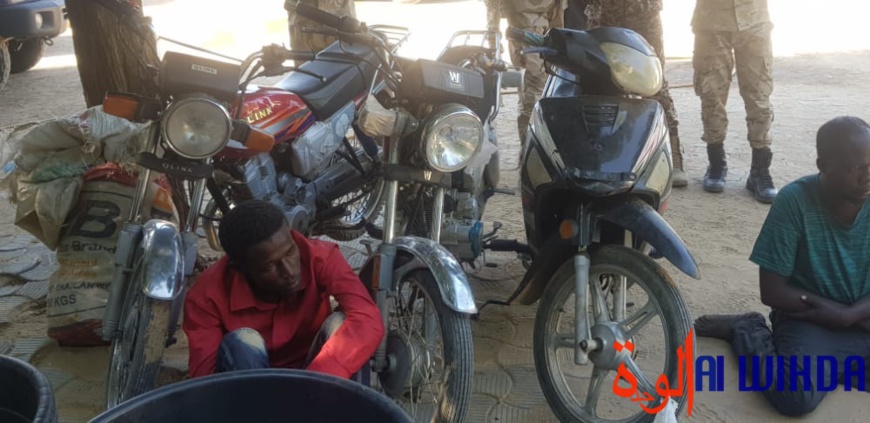 Tchad : 18 présumés malfaiteurs arrêtés par la gendarmerie Tchad : 18 présumés malfaiteurs arrêtés par la gendarmerie