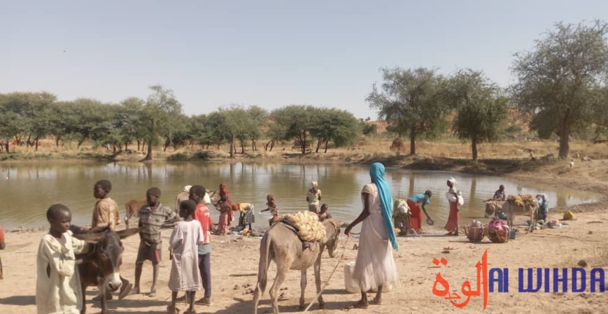 Tchad : le manque d'eau potable préoccupe les habitants de Koubeygou, au Sila Tchad : le manque d'eau potable préoccupe les habitants de Koubeygou, au Sila