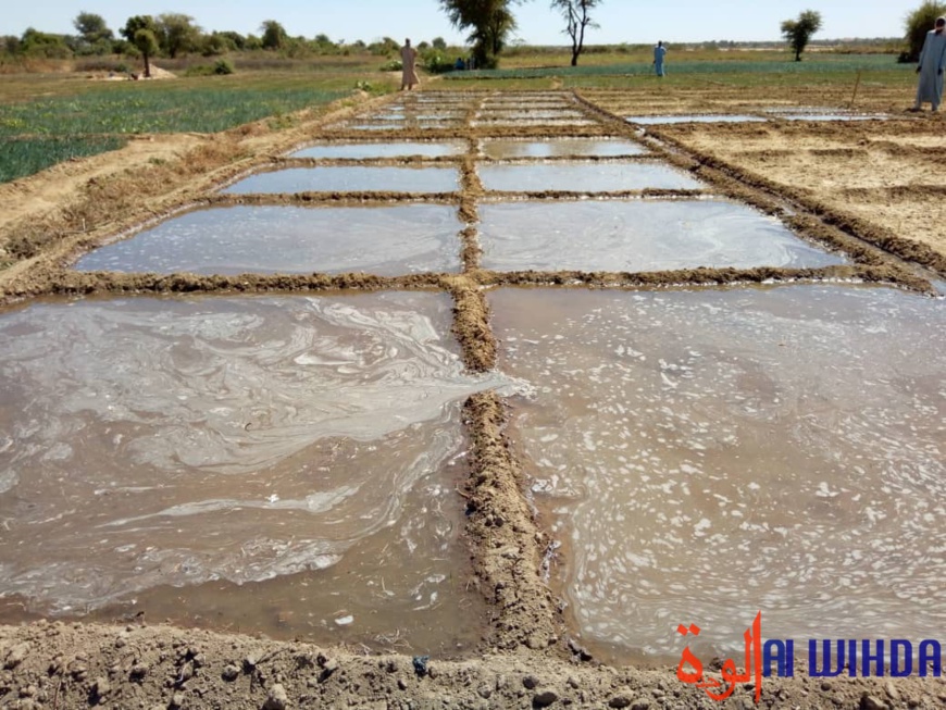 Tchad : une centrale solaire photovoltaïque inaugurée au Ouaddaï Tchad : une centrale solaire photovoltaïque inaugurée au Ouaddaï