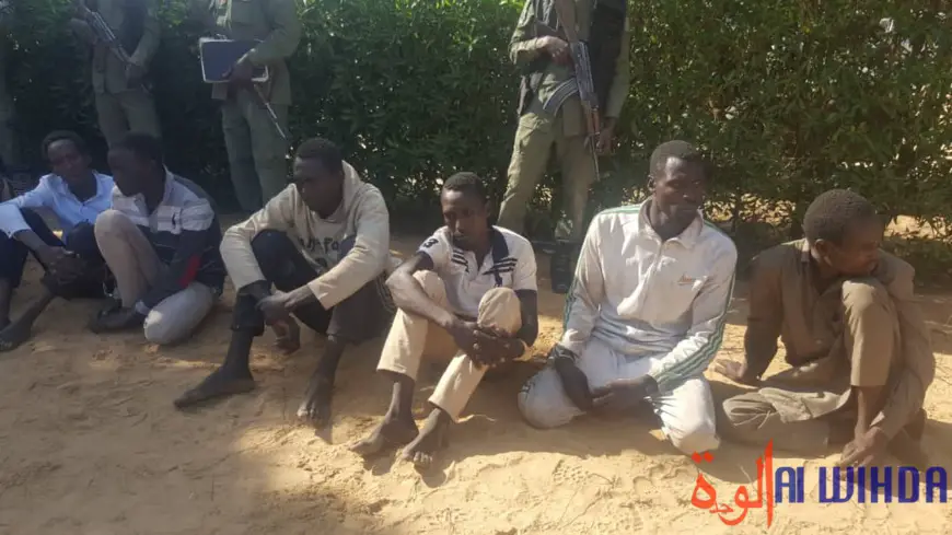 Tchad : la police arrête plusieurs présumés malfrats pour des délits et crimes