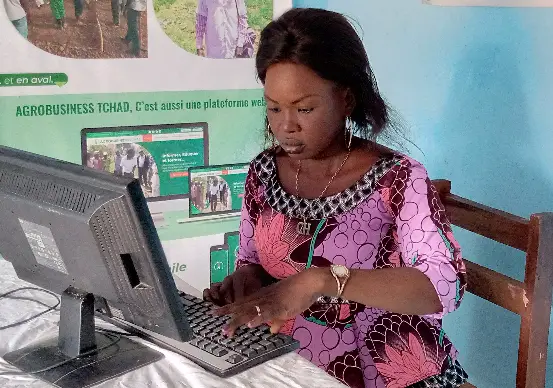 Journée de l’entrepreneuriat féminin au Tchad : la fête en différé à Moundou