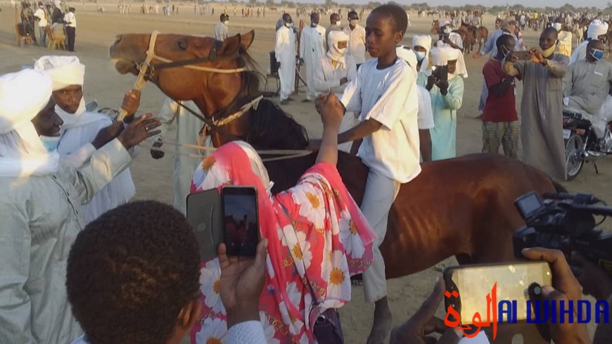 Tchad : la 10e saison de la course hippique du Batha a suscité l'engouement Tchad : la 10e saison de la course hippique du Batha a suscité l'engouement