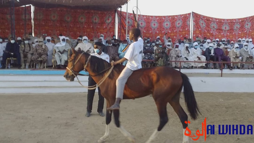 Tchad : la 10e saison de la course hippique du Batha a suscité l'engouement Tchad : la 10e saison de la course hippique du Batha a suscité l'engouement