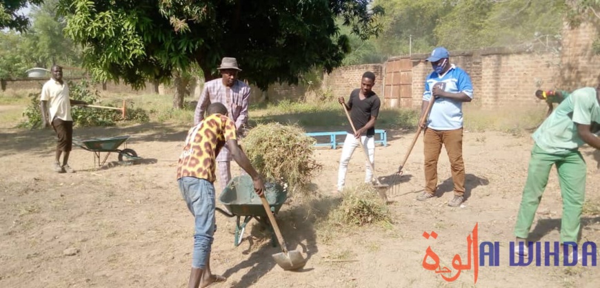 Tchad : la jeunesse s'implique dans l'assainissement à Laï Tchad : la jeunesse s'implique dans l'assainissement à Laï