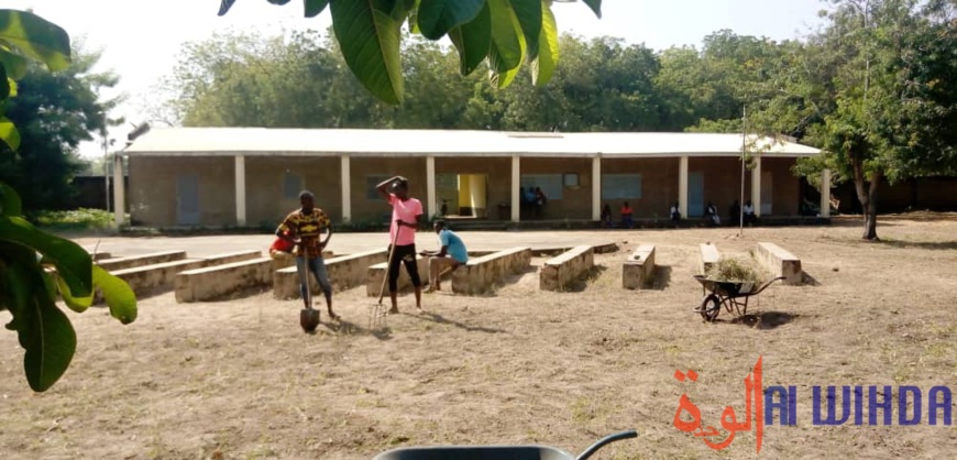 Tchad : la jeunesse s'implique dans l'assainissement à Laï Tchad : la jeunesse s'implique dans l'assainissement à Laï