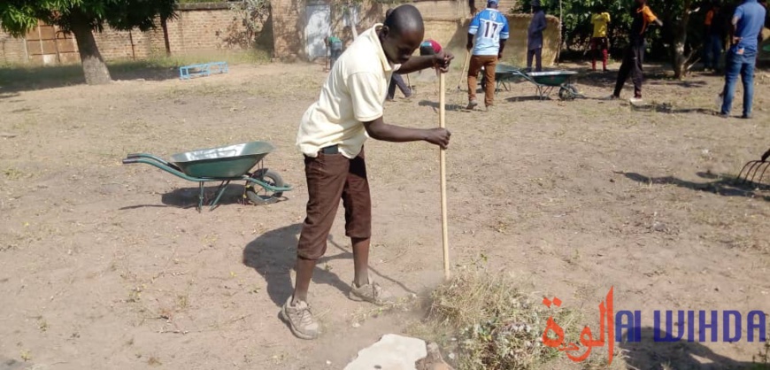 Tchad : la jeunesse s'implique dans l'assainissement à Laï Tchad : la jeunesse s'implique dans l'assainissement à Laï