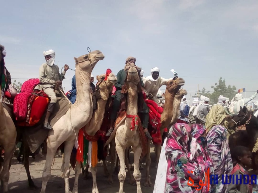 Le Tchad veut concrétiser la dorsale transaharienne à fibre optique pour réduire sa fracture numérique Le Tchad veut concrétiser la dorsale transaharienne à fibre optique pour réduire sa fracture numérique
