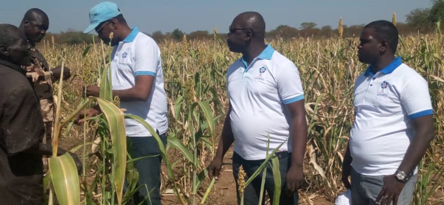 Tchad : L’antenne ONAPE de Sila sur le terrain Tchad : L’antenne ONAPE de Sila sur le terrain