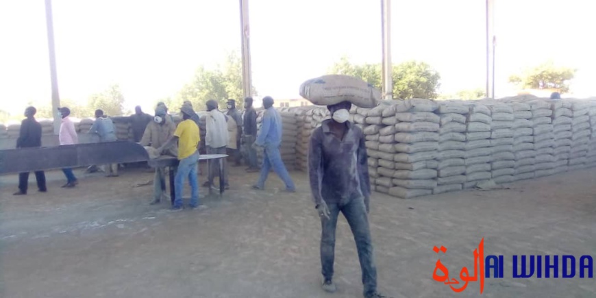 Tchad : la SONACIM relance la production de ciment Tchad : la SONACIM relance la production de ciment
