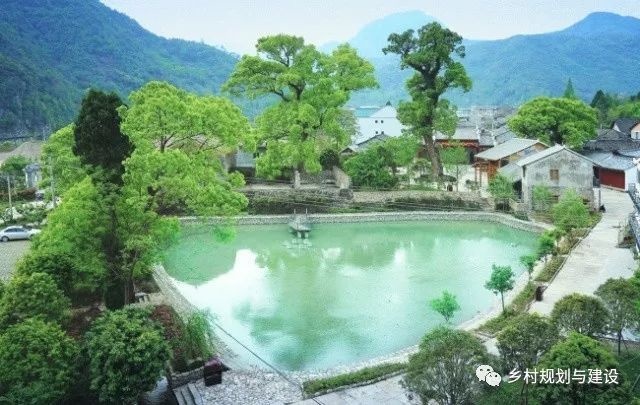 Photo shows a pond surrounded by dwellings in Shatan village, Yutou township, Huangyan district, Taizhou, east China's Zhejiang province. (Photo/College of Architecture and Urban Planning, Tongji University)