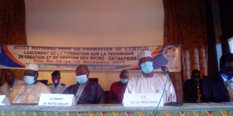 Tchad : l'ONAPE forme les promoteurs de l'emploi indépendant au Mayo Kebbi Ouest