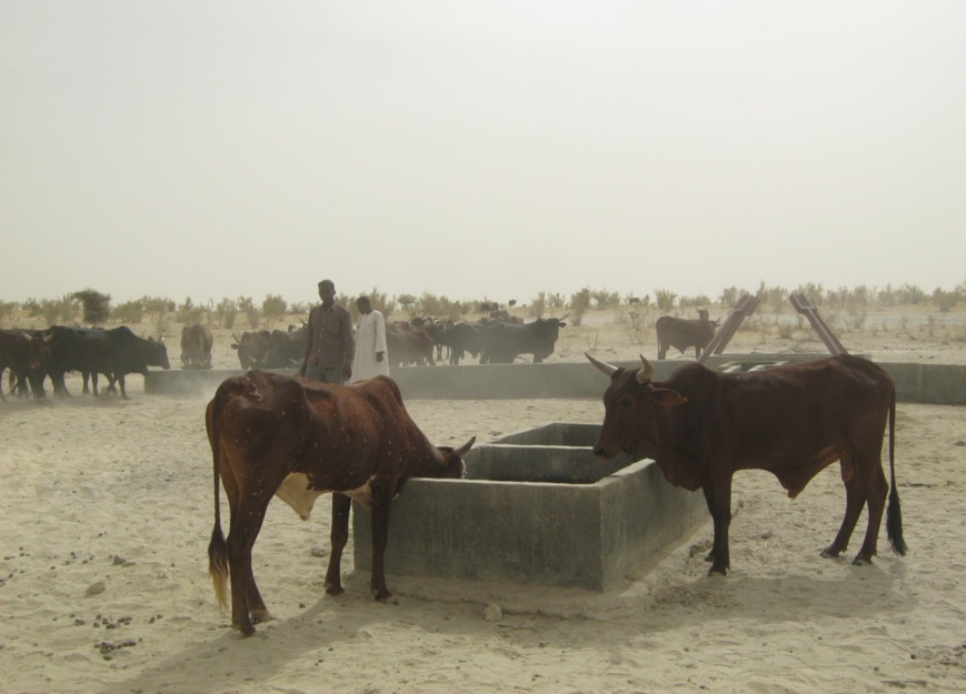 Sahel et bassin du lac Tchad : la BAD soutient la sécurité alimentaire pour prévenir l'aggravation sécuritaire Sahel et bassin du lac Tchad : la BAD soutient la sécurité alimentaire pour prévenir l'aggravation sécuritaire