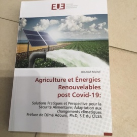 Tchad : Boukar Michel présente son livre sur l’agriculture et l'énergie renouvelable post COVID-19