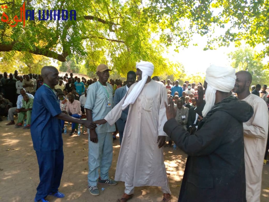 Tchad : réconciliation entre agriculteurs et éleveurs dans la Tandjilé Centre