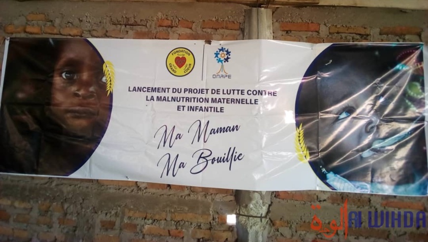 Tchad : 15 organisations féminines formées par la FGC à Am-Timan. © Mahamat Abdelbanat Kourma/Alwihda Info Tchad : 15 organisations féminines formées par la FGC à Am-Timan. © Mahamat Abdelbanat Kourma/Alwihda Info