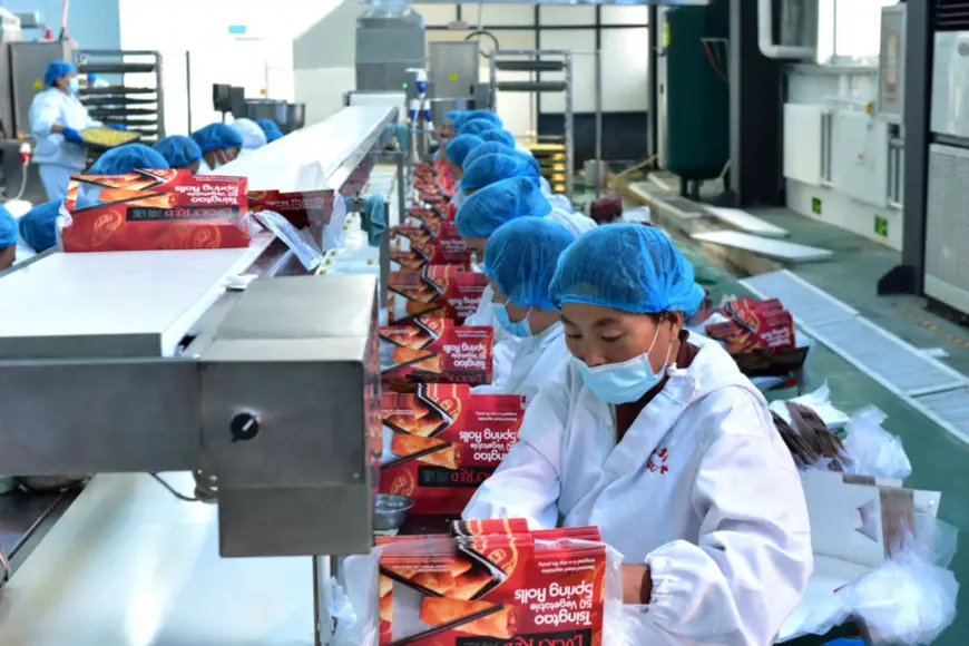 Workers produce quick-frozen foodstuffs at a poverty alleviation base in Qucun township, Puyang county, central China's Henan province, Nov. 18. Photo by Zhao Shaohui/People's Daily Online