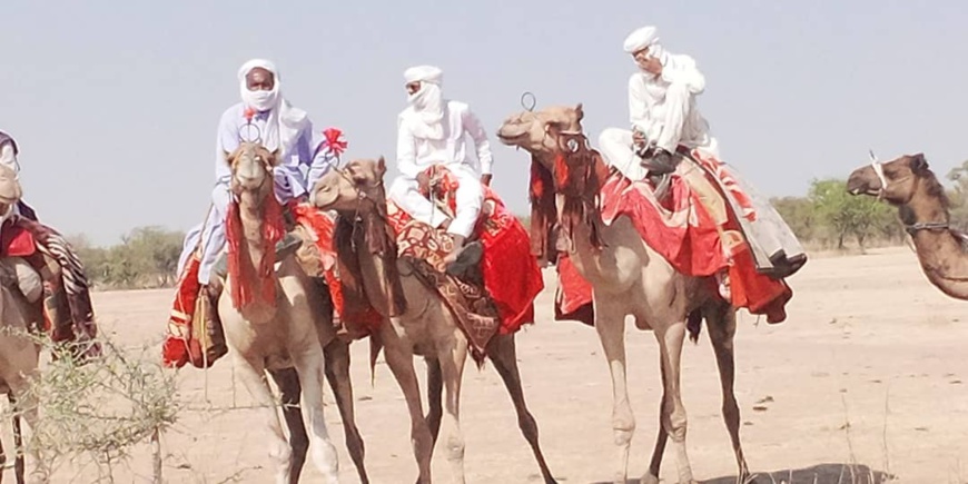 Tchad : le Festival des cultures nomades est lancé à Mongo Tchad : le Festival des cultures nomades est lancé à Mongo