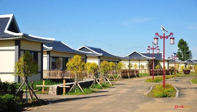 The homestay hotels in Xinghuo village, Jiamusi city of northeast China's Heilongjiang province. (Photo/Heilongjiang Daily)