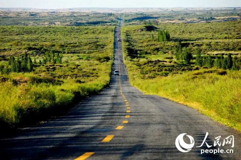 After great efforts to fight desertification, both sides of a highway through the Kubuqi Desert are now surrounded by lush plants. (Photo/Courtesy of the publicity department of the Communist Party of China Hangjin banner committee)