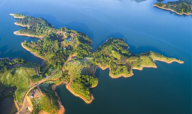 Photo shows the magnificent scenery of an island of Taihu county, east China's Anhui province. (Photo/Official website of Taihu government)