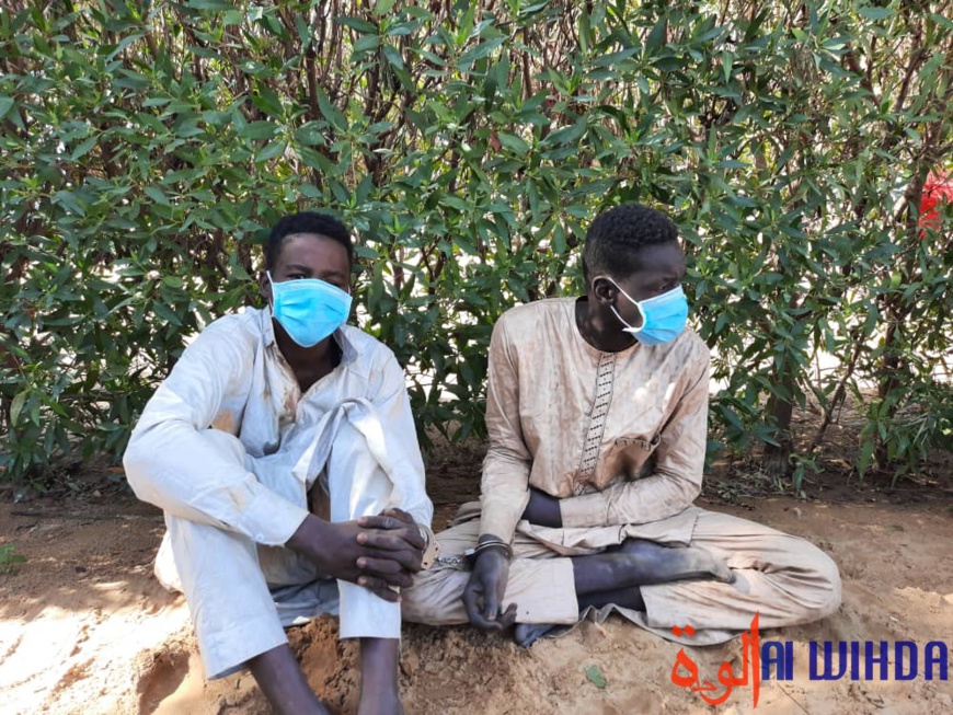 N'Djamena : démantèlement d'un réseau de brigands, les précisions de la police N'Djamena : démantèlement d'un réseau de brigands, les précisions de la police