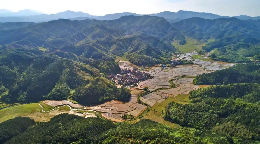 Photo shows mountains covered with thick forests in Xikeng village, Tancheng township, Yongfeng county, Ji’an, east China’s Jiangxi province, June 13, 2019. (Photo by Liu Haojun/People’s Daily Online)