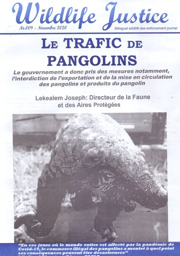 Cameroun : « Wildlife Justice Journal » se penche sur le trafic de pangolins