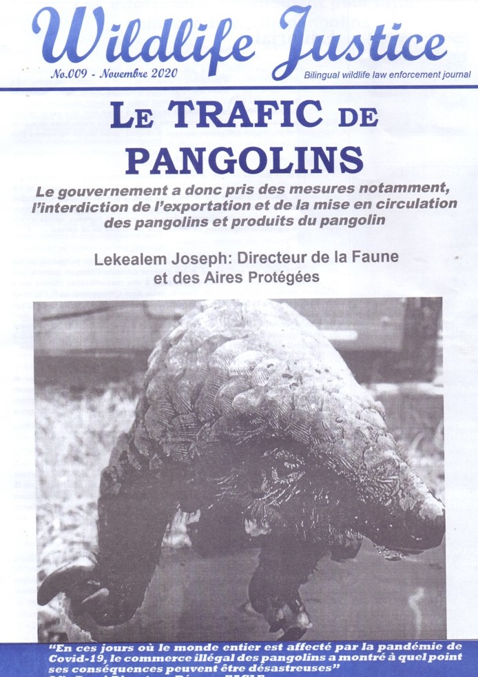 Cameroun : « Wildlife Justice Journal » se penche sur le trafic de pangolins Cameroun : « Wildlife Justice Journal » se penche sur le trafic de pangolins