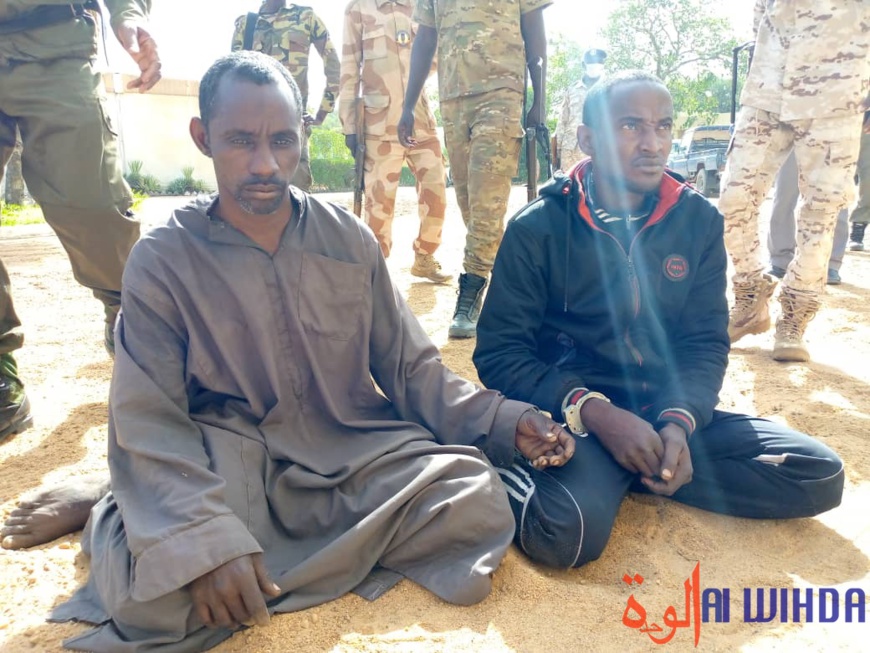 Tchad : arrestation de présumés malfrats dans la Tandjilé Tchad : arrestation de présumés malfrats dans la Tandjilé