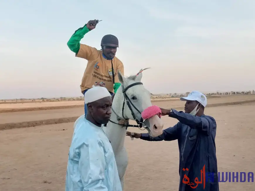 Tchad : 2e édition de la course hippique au Ouaddaï