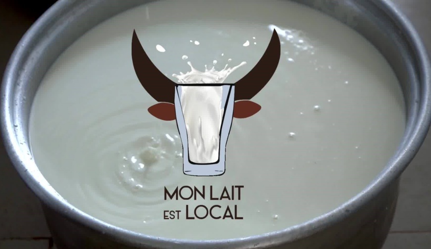 CEDEAO : Face au Covid-19, une marche virtuelle pour sauver le lait local ouest-africain