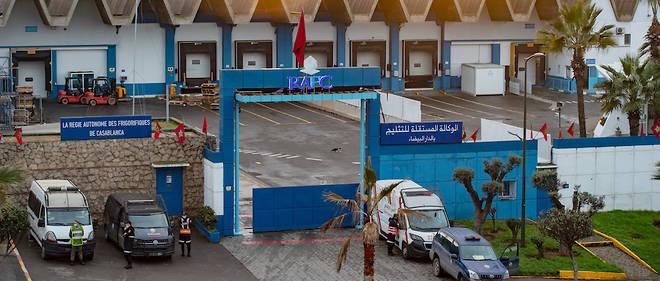 Vaccin anti-Covid : Le Maroc lance sa campagne dès le 29 janvier 2021 Vaccin anti-Covid : Le Maroc lance sa campagne dès le 29 janvier 2021