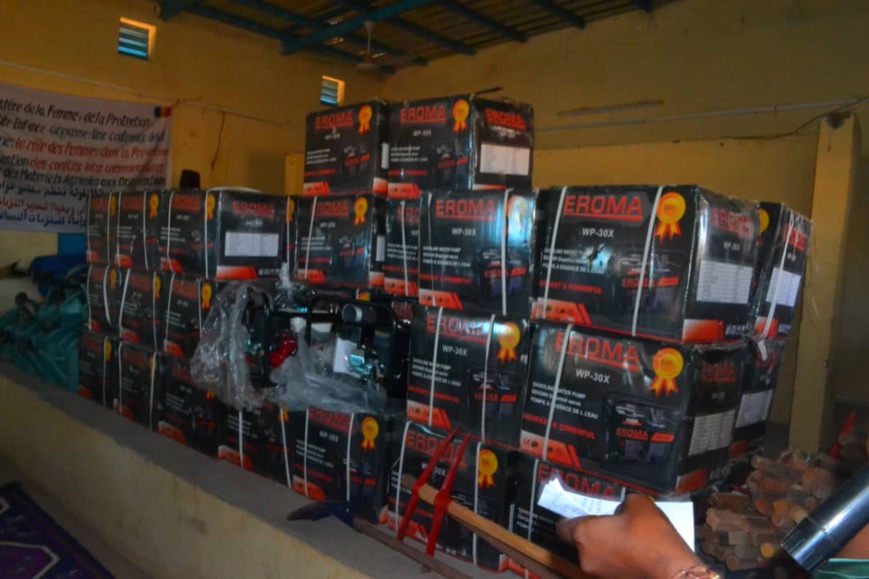 Tchad : les groupements féminins du Sila appuyés en matériel Tchad : les groupements féminins du Sila appuyés en matériel