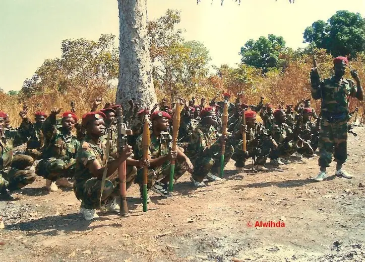 Des commandos rebelles du FDPC s'entraînent dans le Maki. Crédits photos : Alwihda