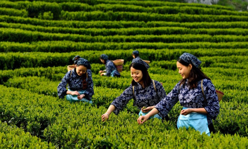 Employees with a small and micro enterprise are busy with production in Xingtai, north China's Hebei province, Feb. 27, 2020. Amid the COVID-19 outbreak, Xingtai rolled out policies to cut taxes and administrative fees for enterprises and help them resume production. (Photo by Chai Gengli/People's Daily Online)