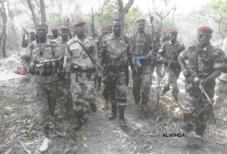Les combattants du FDPC autour du Général Abdoulaye Miskine. 5 avril 2013. ALWIHDA Les combattants du FDPC autour du Général Abdoulaye Miskine. 5 avril 2013. ALWIHDA