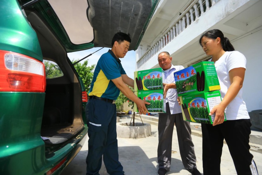 A courier (left) in Suixi County, Huaibei, east China’s Anhui Province picks parcels at a corn processing enterprise in Chenlou village, Suntuan Township, June 8, 2020. (Photo by Wan Shanzhao/People’s Daily Online)