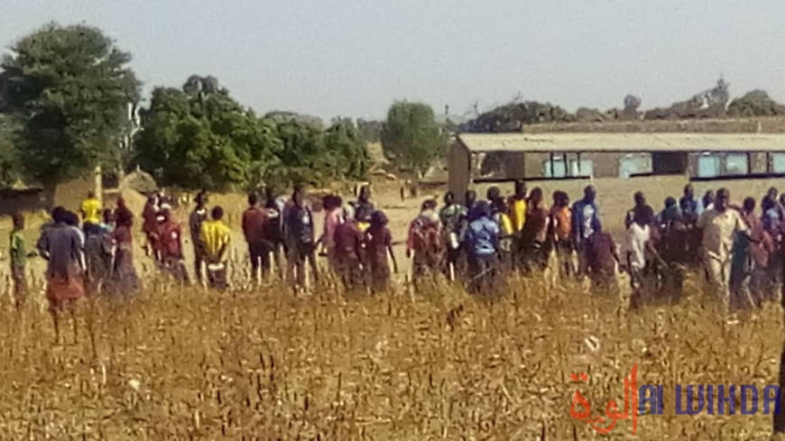 Tchad : grogne des élèves et saccages à Pala Tchad : grogne des élèves et saccages à Pala