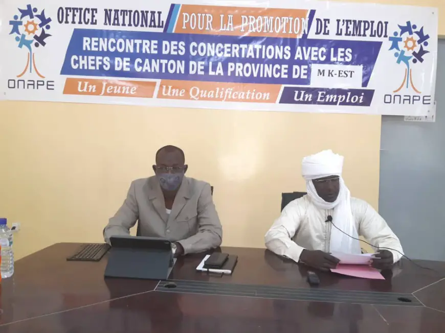 Tchad : Recouvrement des crédits agricoles, l'ONAPE sensibilise dans le Mayo-Kebbi Est