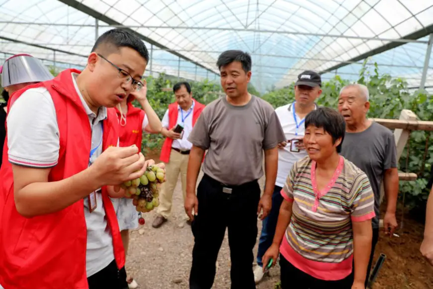 A sci-tech expert introduces grape management skills to villagers in Shanting District, Zaozhuang, east China's Shandong Province, July 29, 2020. (Photo by Wang Qimeng/People's Daily Online)