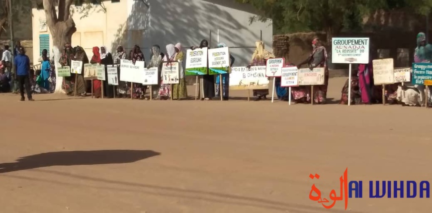 Tchad : la semaine nationale de la femme lancée à Mongo