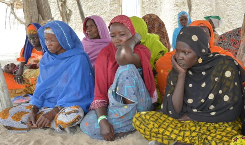 Bassin du Lac Tchad : La BAD s’engage pour l’autonomisation des femmes au Sahel