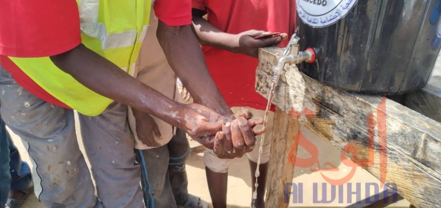 Tchad : Les horaires d’abattage des animaux réglementés dans la ville de N’Djamena Tchad : Les horaires d’abattage des animaux réglementés dans la ville de N’Djamena