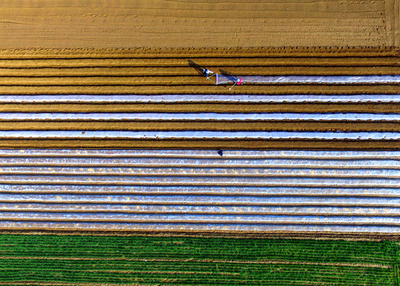 China to maintain over 650 million metric tons of grain output